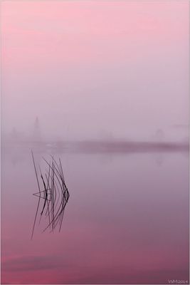 - sound of silence -