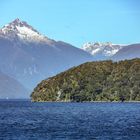 Sounds of Fiordland