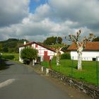 Souraide, pays basque 