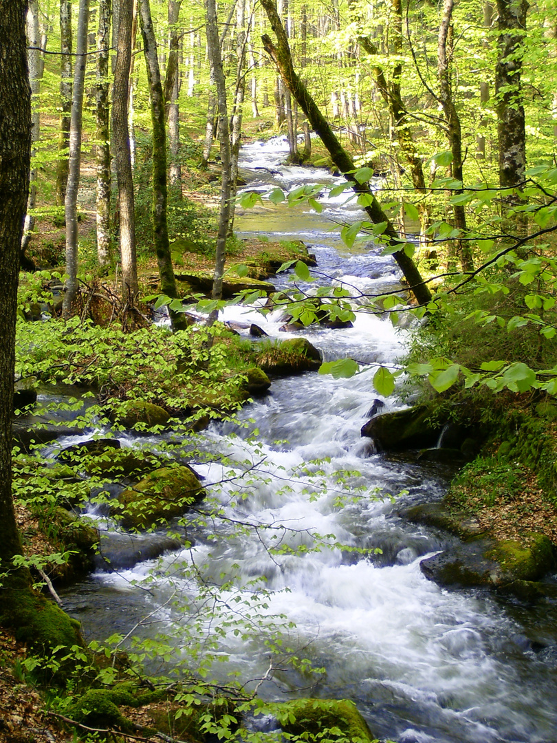 source de la naissance du canal du midi