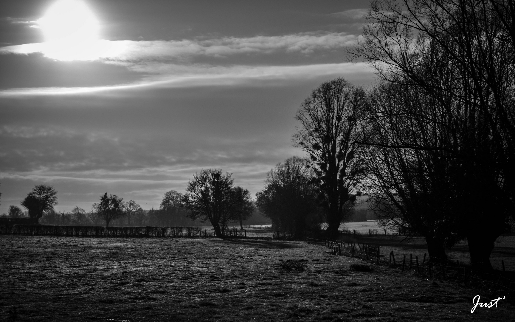 Source de la Sauldre après la brume hivernale...