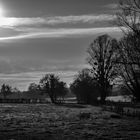 Source de la Sauldre après la brume hivernale...