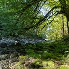 Source de l'Ain im Haut-Jura 3