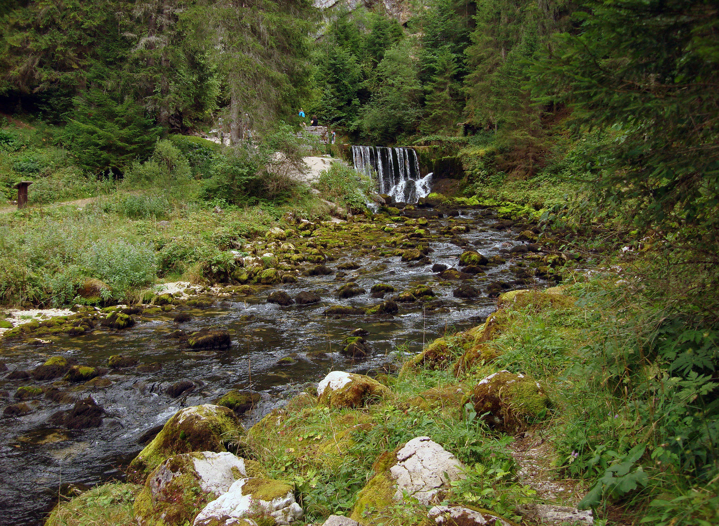 Source du Doubs