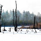 Source du Neckar en hiver