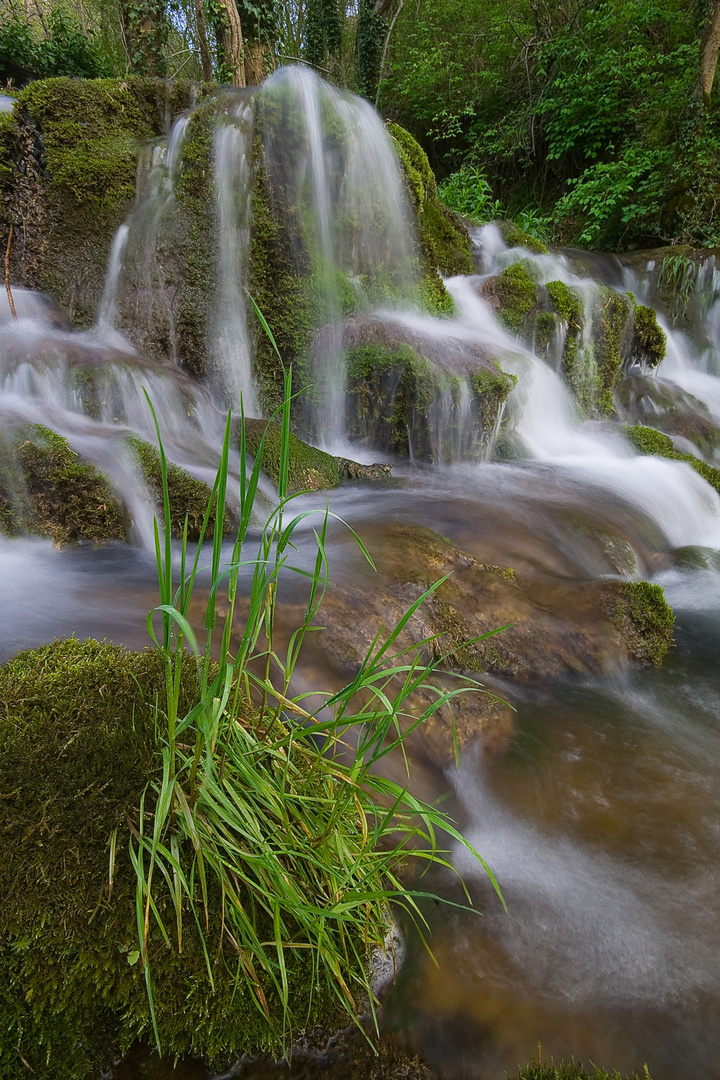 Source du Pontet