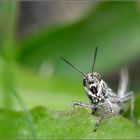 ....Souriez vous êtes photographié....