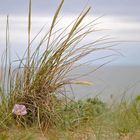 Sourire dans la dune