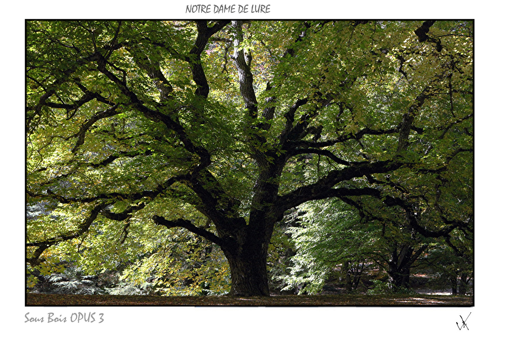 SOUS BOIS A NOTRE DAME DE LURE OPUS 3 IMPRIMABLE