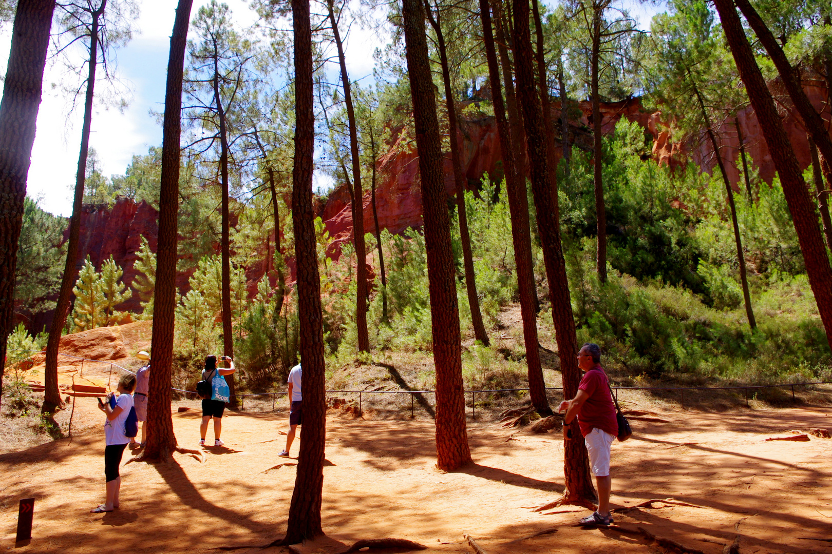 Sous bois des photographes ?