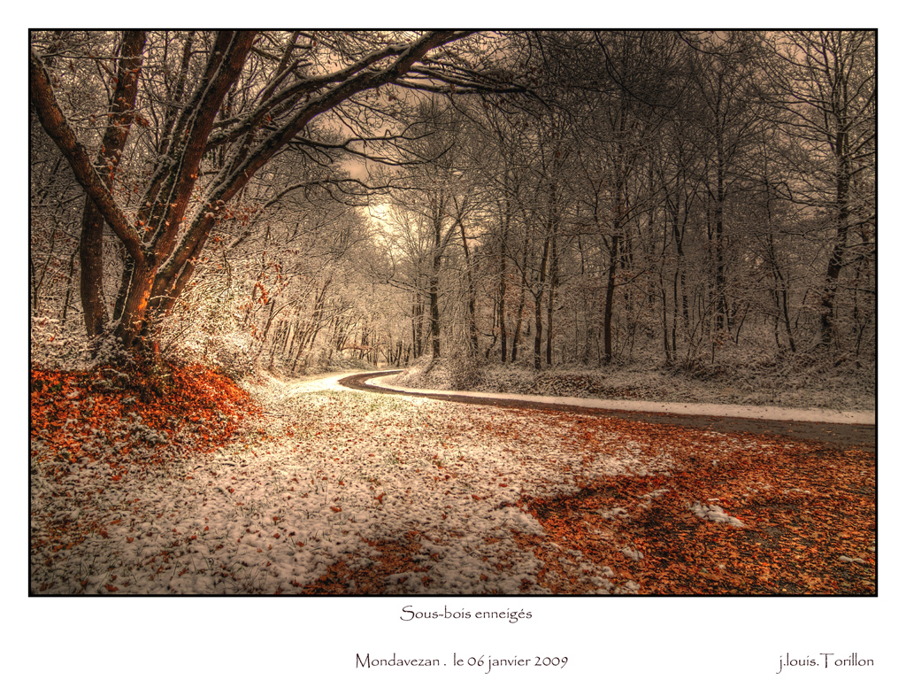 sous-bois ennéegés