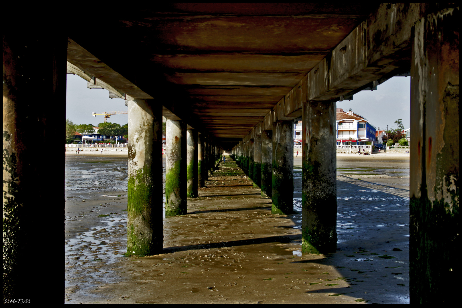 Sous la jetée...