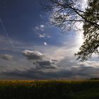 sous la menace de l'orage