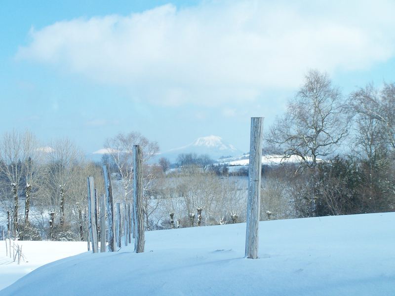 sous la neige