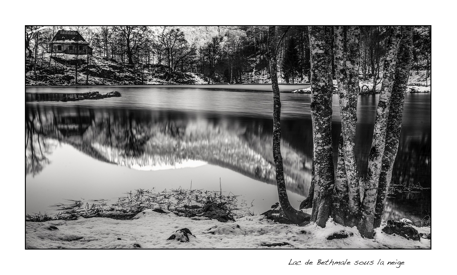 Sous la neige