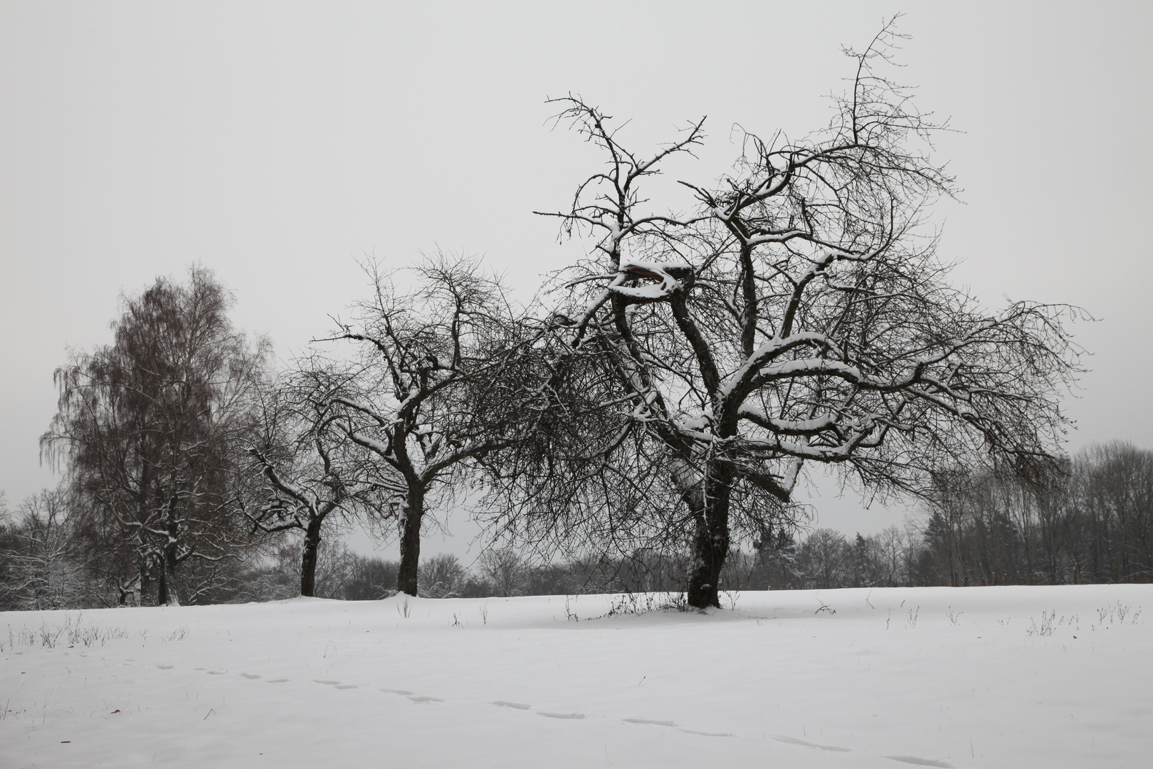 sous la neige