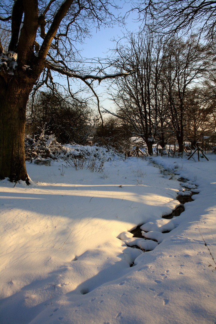 Sous la neige aussi c'est exceptionnel !