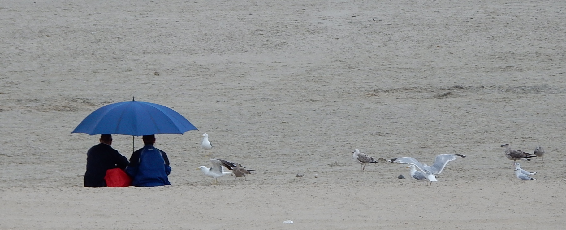 Sous la pluie à la plage version 2