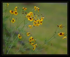 sous la pluie