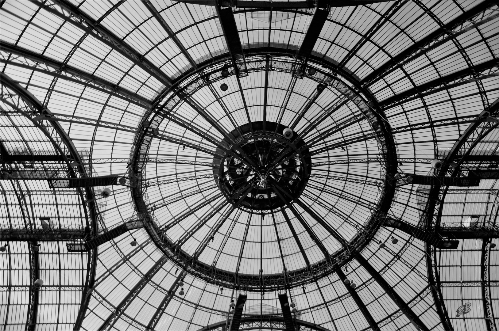 sous la verrière du Grand Palais