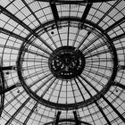 sous la verrière du Grand Palais