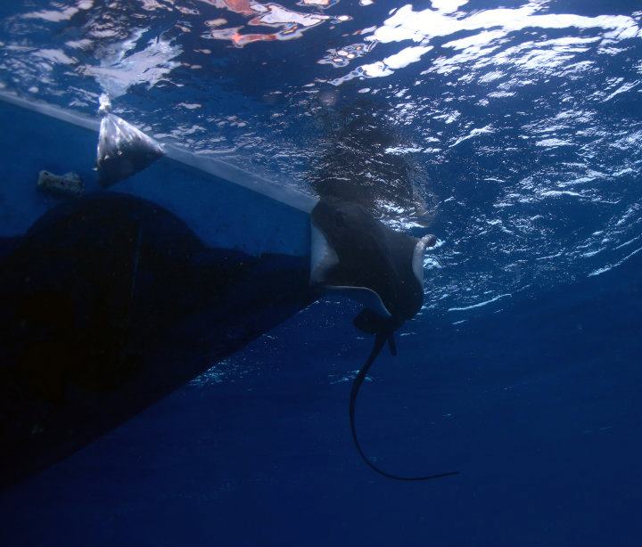 SOUS LE BATEAU DE PECHE