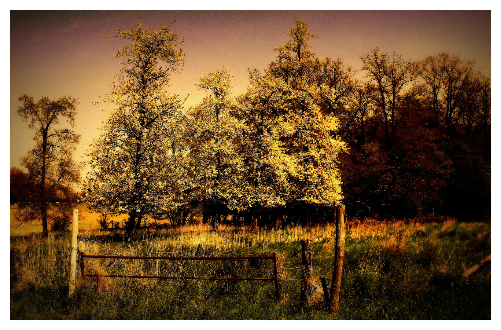 sous le charme de la nature