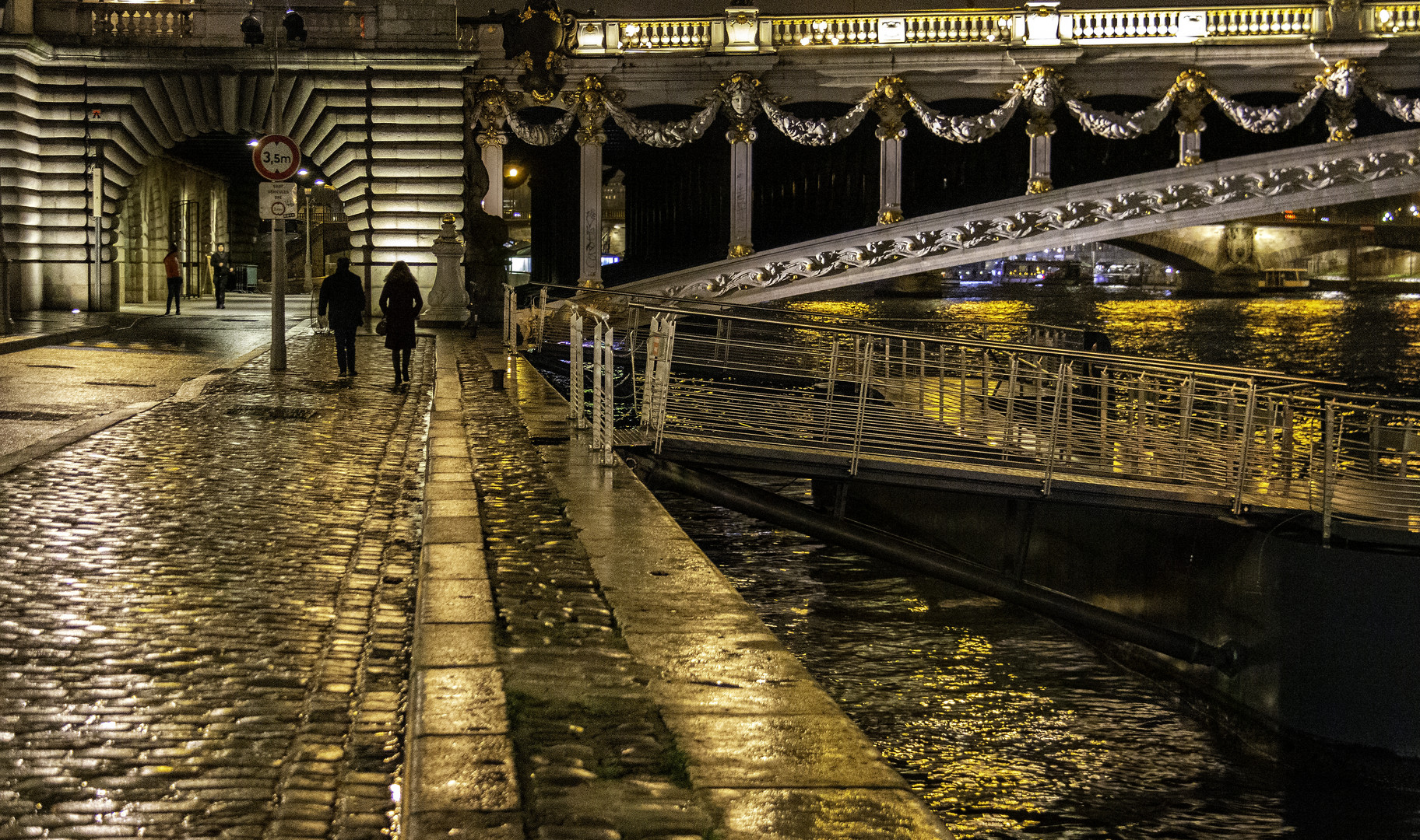 Sous le pont Alexandre III 