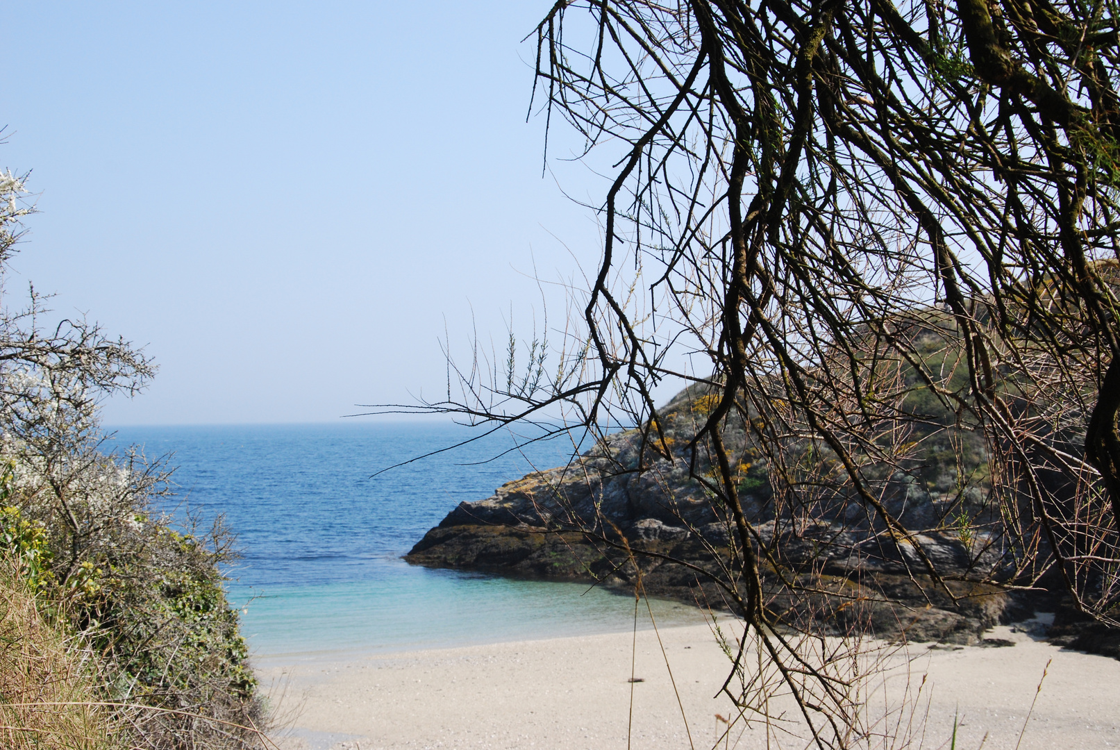 sous les arbres