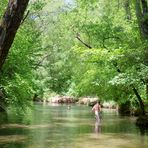 Sous les arbres, la fraicheur !