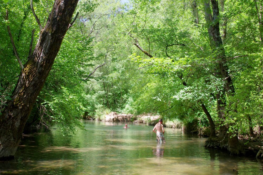 Sous les arbres, la fraicheur ! photo et image | nature, arbre, rivière