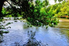 Sous les arbres, la rivière..