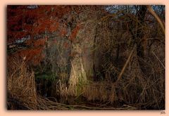 Sous les branches