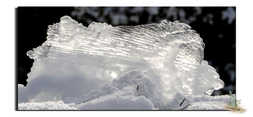  * sous les cocotiers *