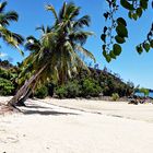 Sous les cocotiers ... la plage