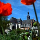 Sous les Coquelicots à Valloires