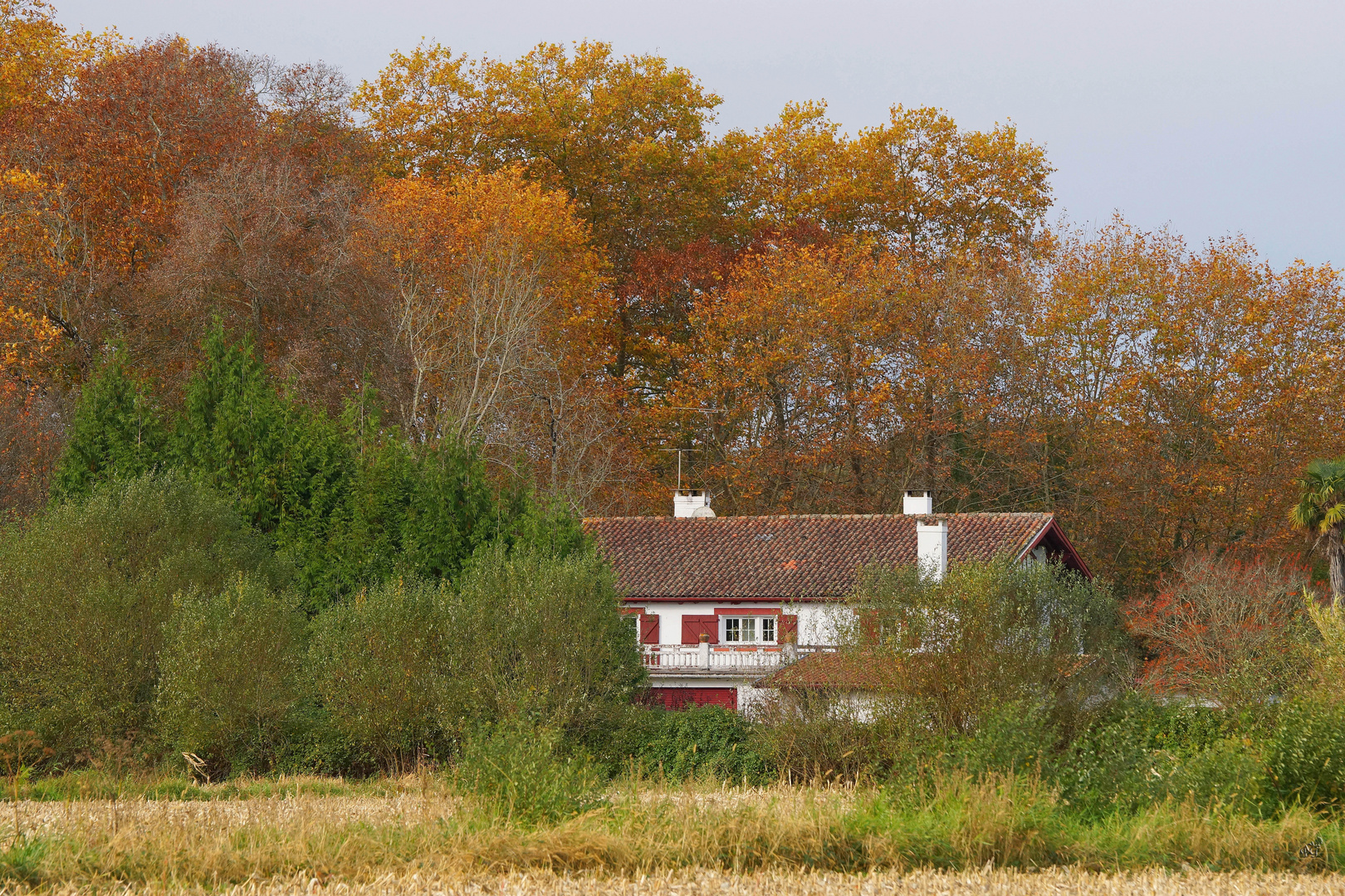 Sous les feux de l'automne....