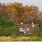 Sous les feux de l'automne....