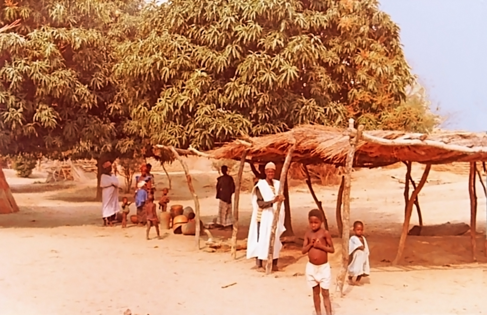 Sous les manguiers à l’entrée d’un village près du Bani