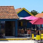 Sous les parasols..........