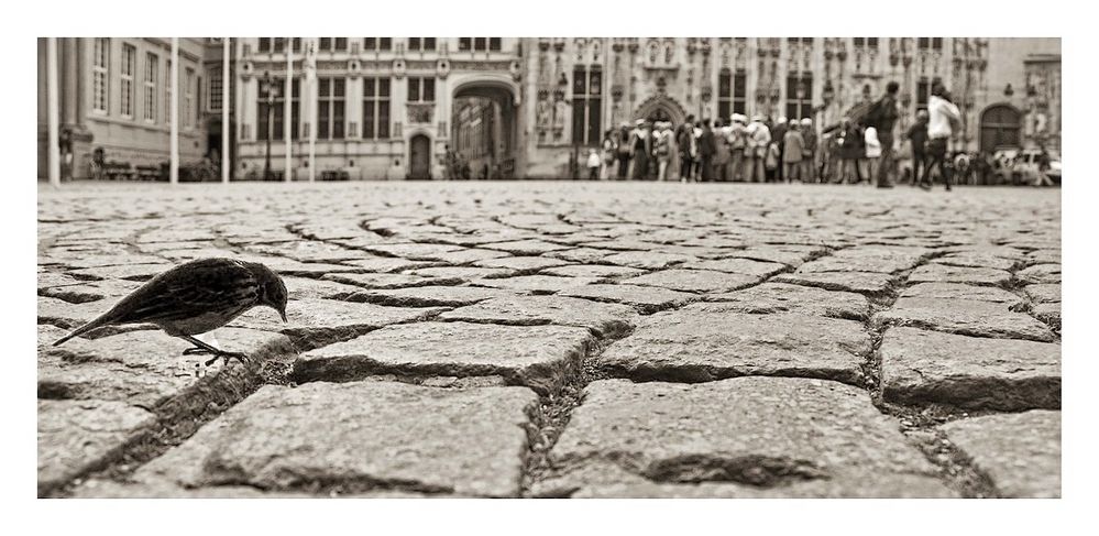 Sous les pavés........ la terre