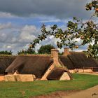 sous les pommiers de Normandie