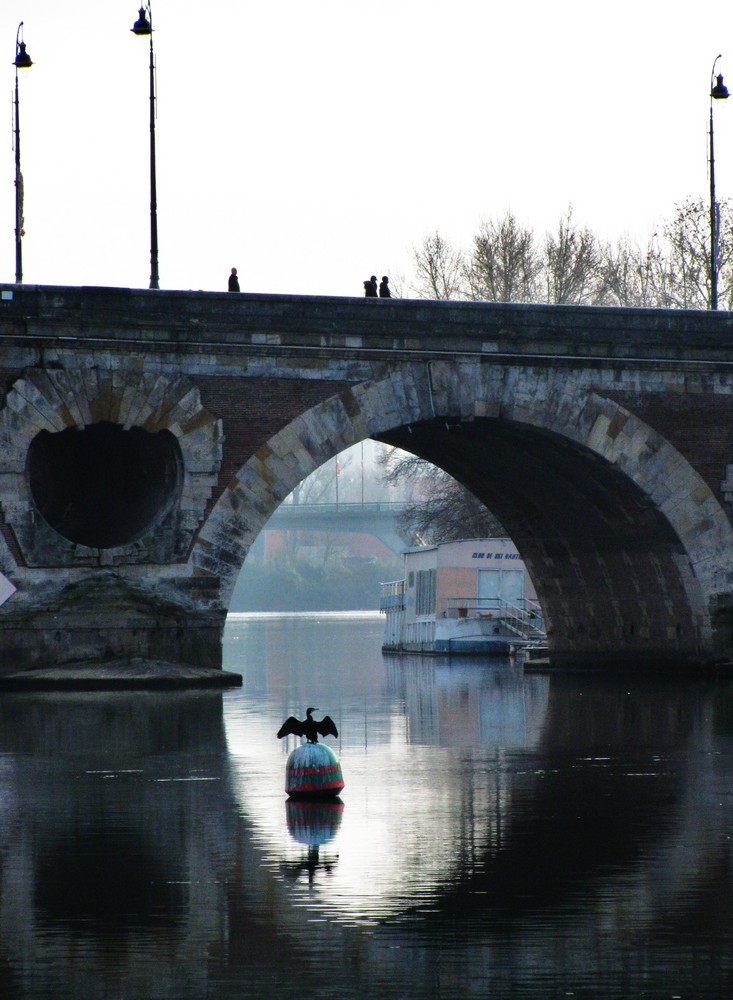 Sous les ponts...le Cormoran (Toulouse)