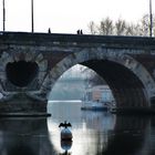 Sous les ponts...le Cormoran (Toulouse)