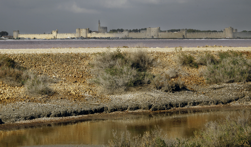 Sous les remparts d'Aigues-Mortes...