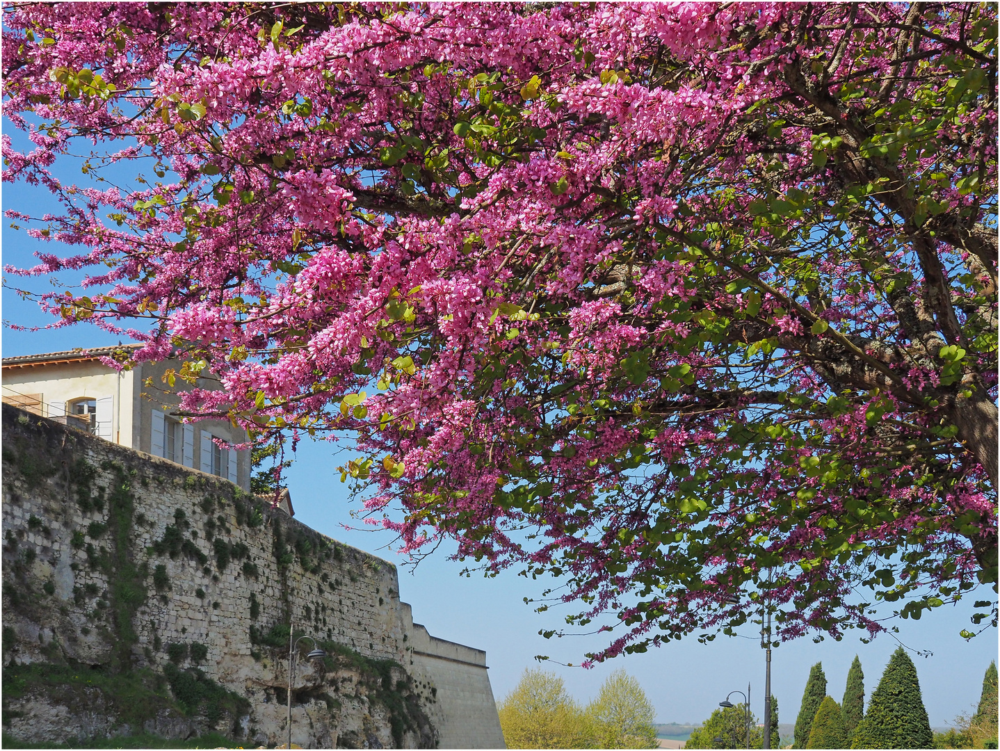 Sous les remparts de Lectoure