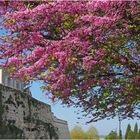 Sous les remparts de Lectoure