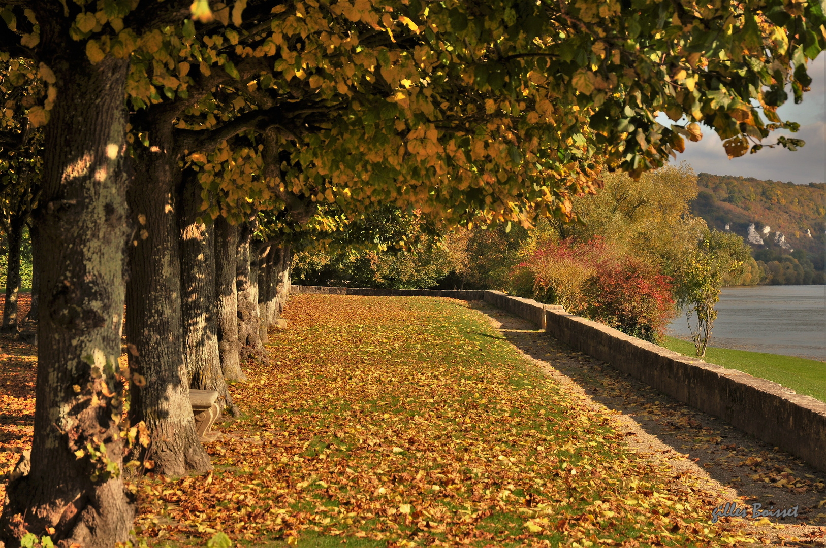 Sous les tilleuls