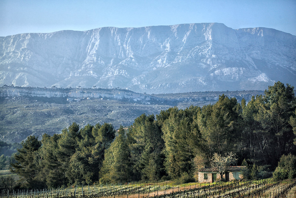 Sous Sainte Victoire.