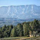 Sous Sainte Victoire.